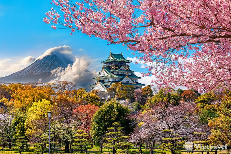 Nhật Bản: Tokyo - Núi Phú Sĩ - Nagoya - Kyoto - Kobe - Osaka ( 4 đêm khách sạn) | Thưởng thức bò Kobe & Hái trái cây | Trải nghiệm Shinkansen | Mùa Hoa Anh Đào